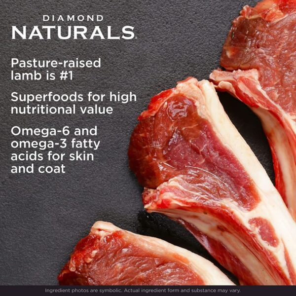 Diamond Naturals Large Breed Puppy Formula Lamb And Rice Dog Dry Food